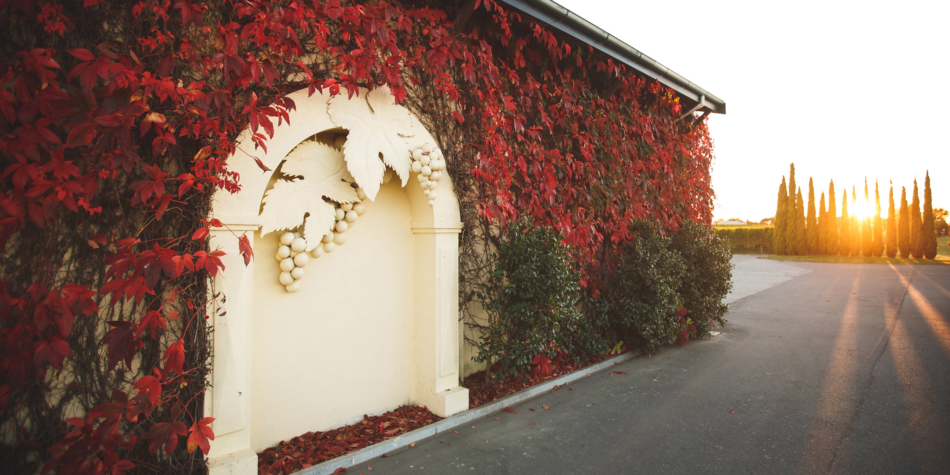 No.1 cellar door archway with red foliage and the sun setting in the