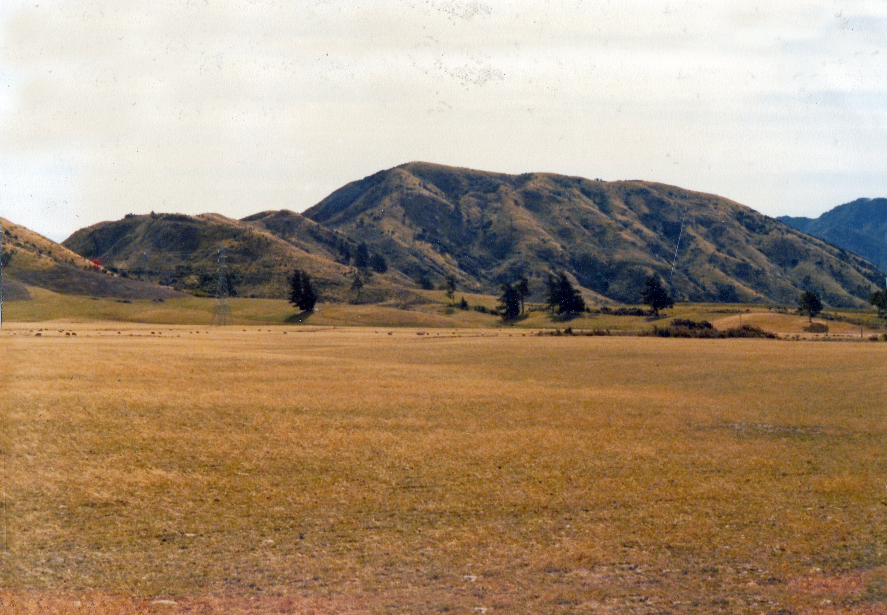 Marlborough wine region before plantings