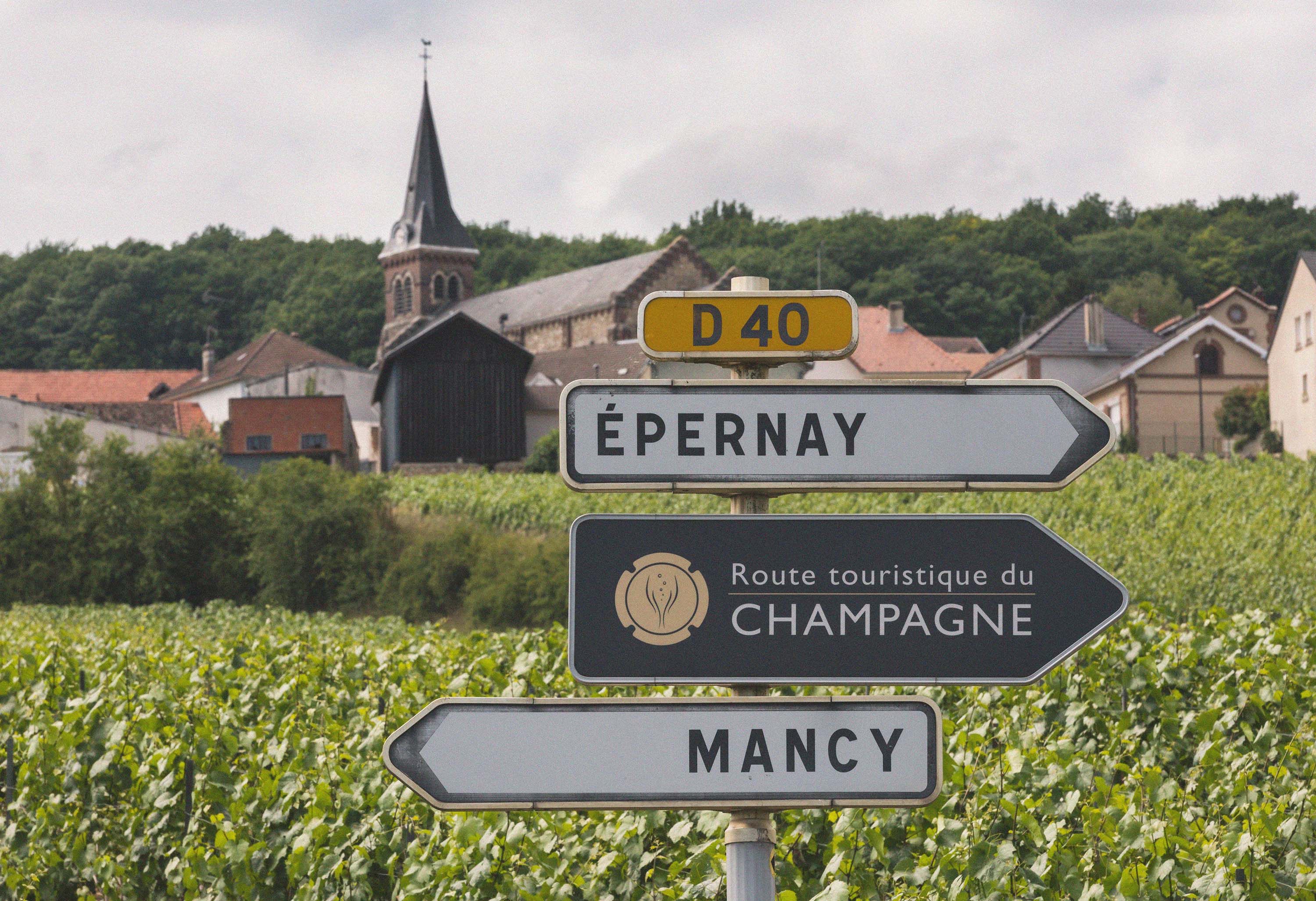 Champagne region in France