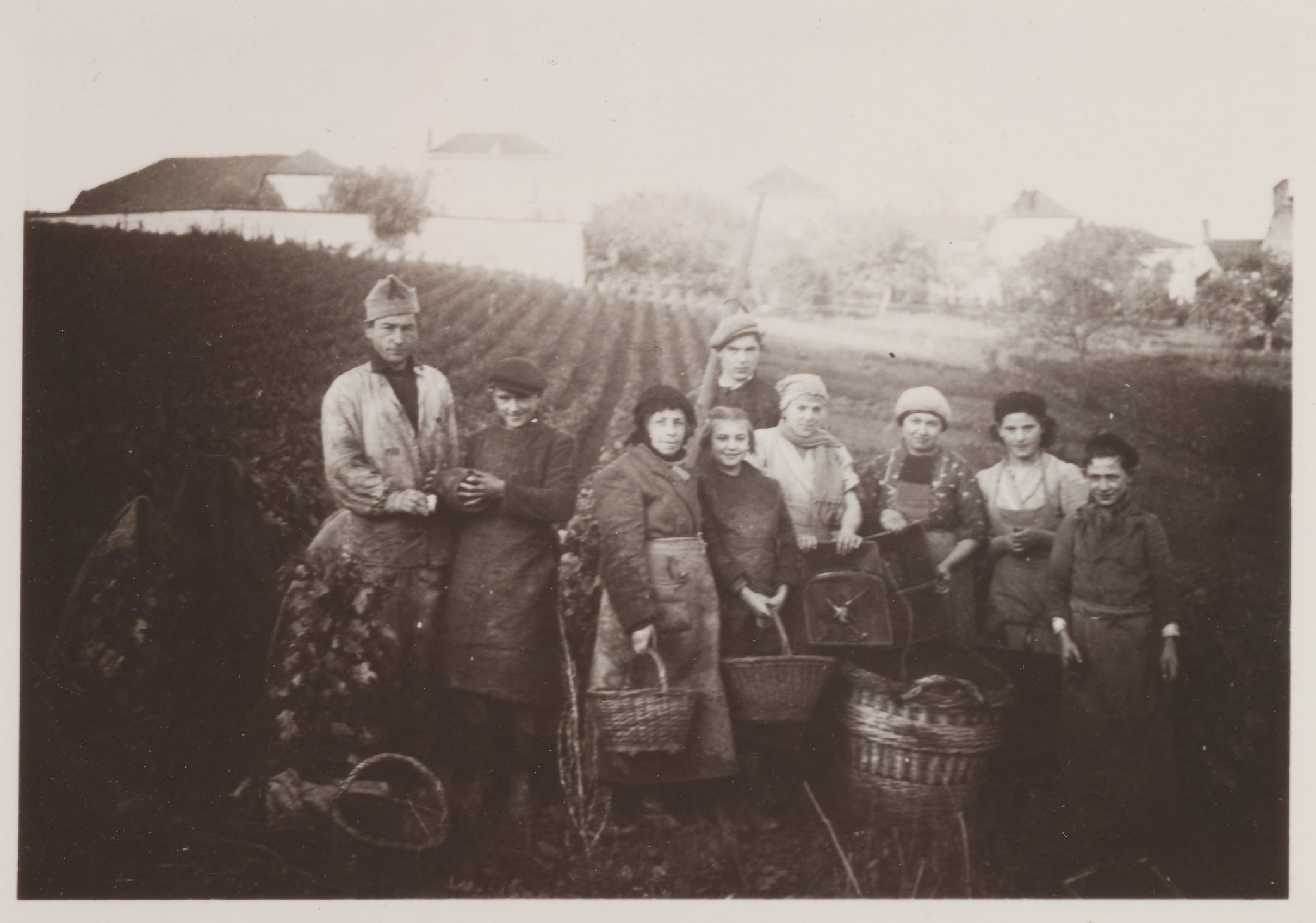 Harvest workers at the Le Brun family vineyard in Monthelon, Champagne